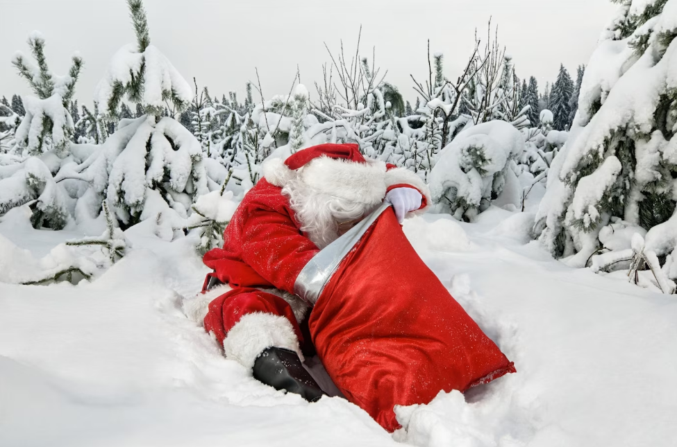 Cardano 50% Rally Sets Stage For A Merry Christmas - Details