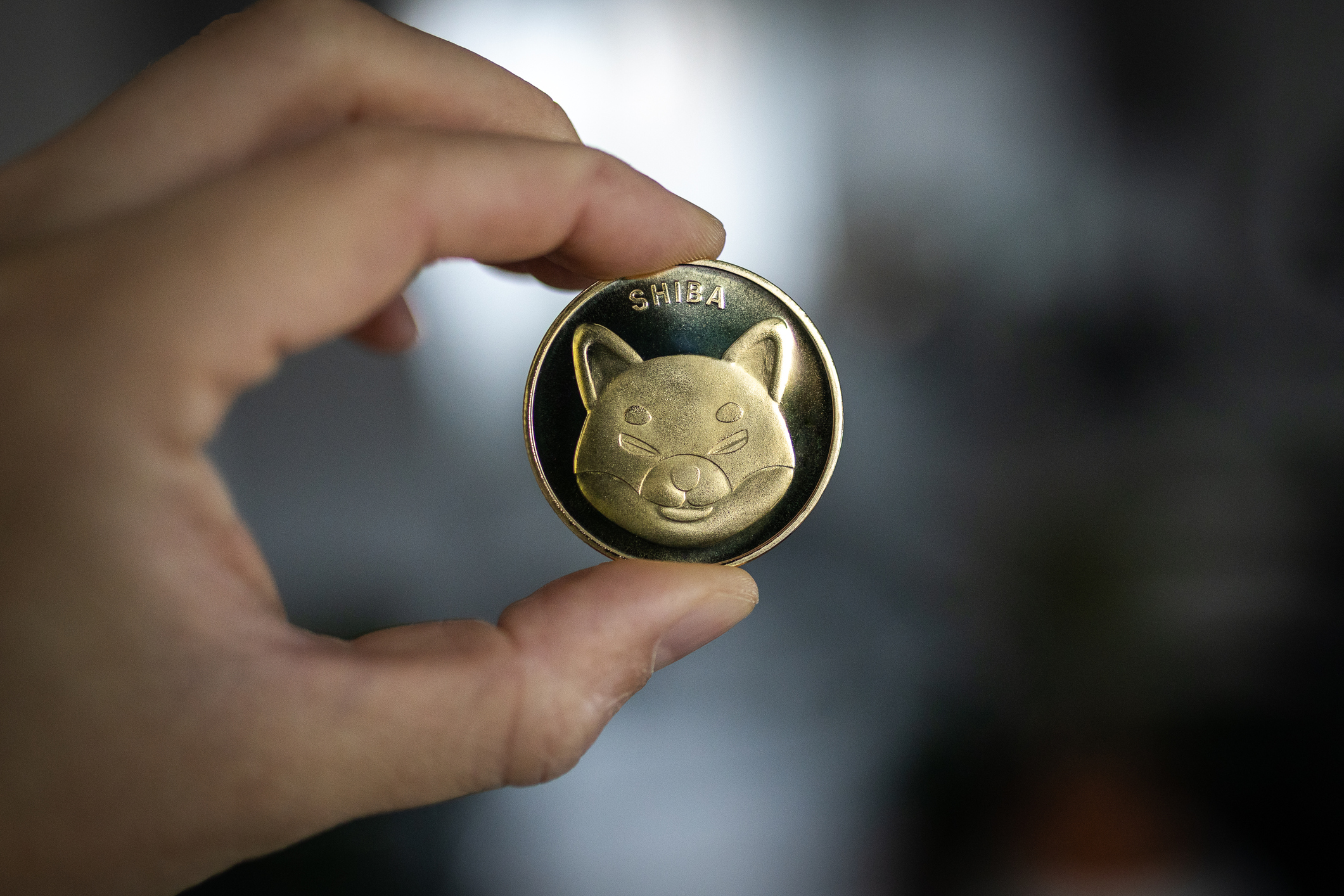Shiba Inu Announces Partnership With D3 Global, Price Plunges