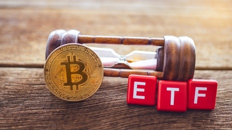Countdown To Bitcoin ETF 2024 Decision: Traders Employ Hedging Tactics, Bloomberg Unveils