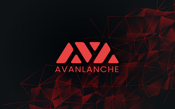 Avalanche network