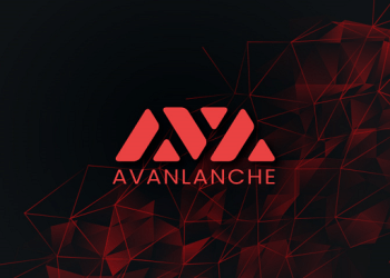 Avalanche network