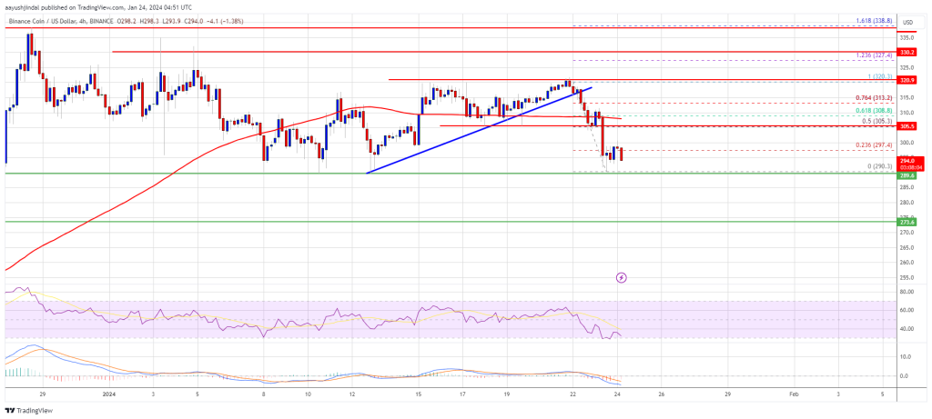 BNB Price