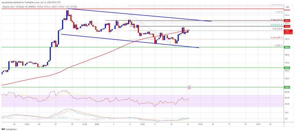 BNB Price