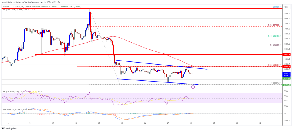 Harga Bitcoin