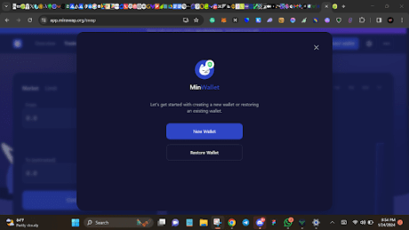 Minswap Cardano wallet