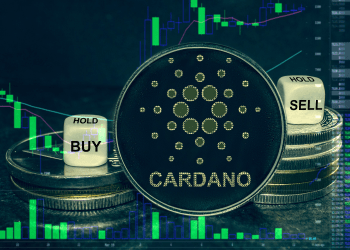 How Borroe Finance Might Exceed the Success of Cardano and Polygon: A Crypto Analysis Perspective