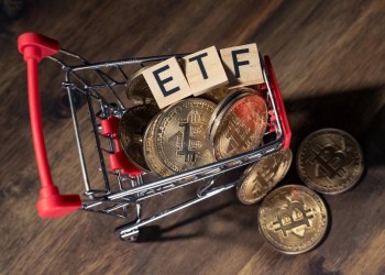 Spotting a Green Light for Bitcoin ETF; VeChain and InQubeta Stir Investor Enthusiasm