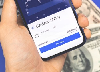 Cardano Witnesses Massive Whale Transactions; Solana and InQubeta at Forefront of Altcoin Rally