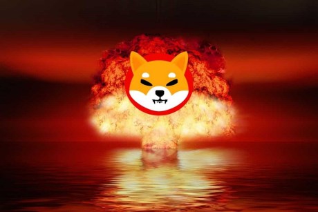 Shiba Inu Team’s Record 9.35 Billion SHIB Burn Sends Burn Rate Soaring