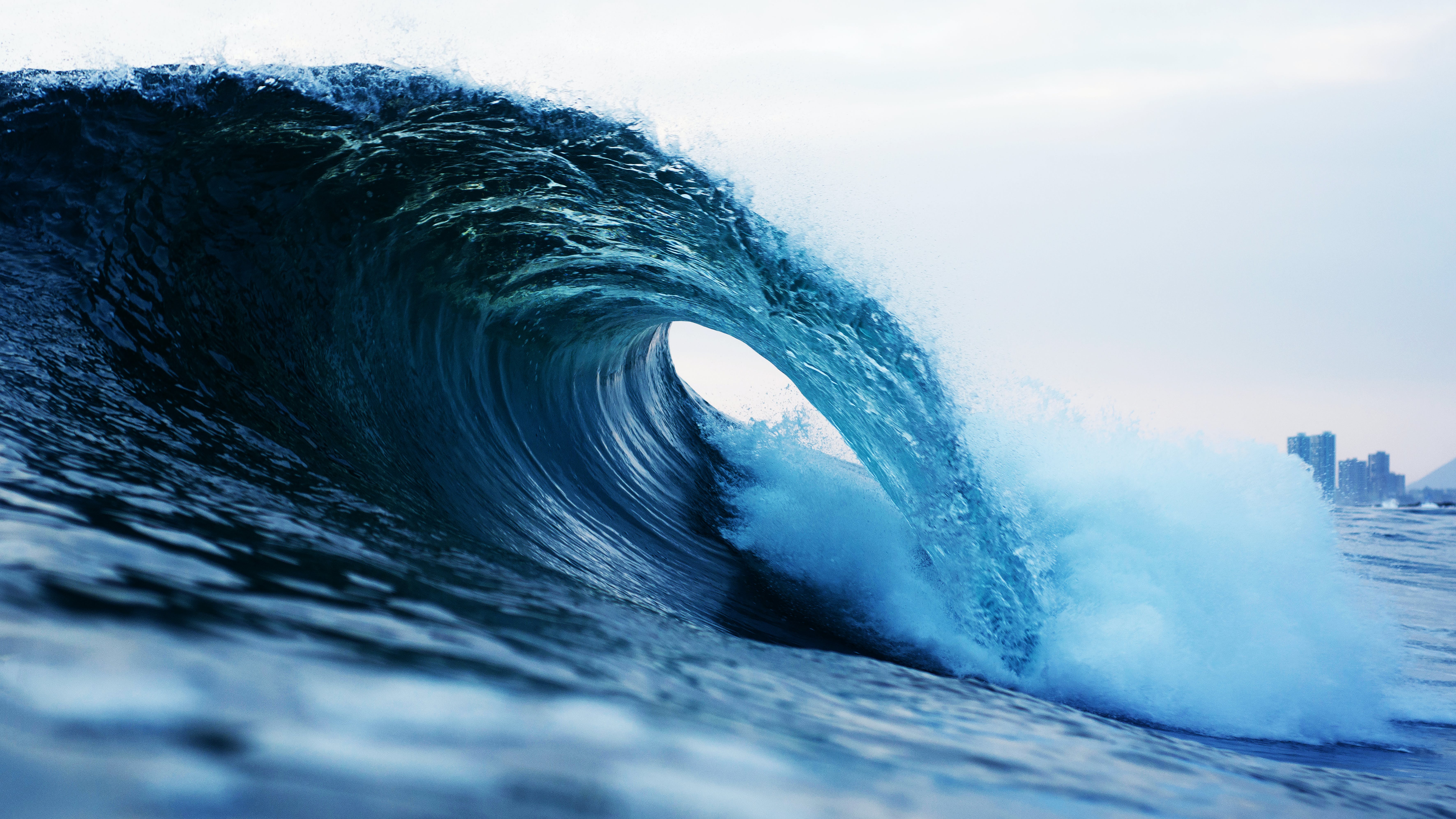 Whales Go Wild: Cardano Transactions Surge 11%