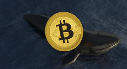 Featured image for “Bitcoin Whale Carries Out Massive Sell-Off”