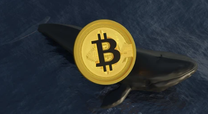Bitcoin Whale Carries Out Massive Sell-Off Bitcoin Whale Carries Out Massive Sell-Off