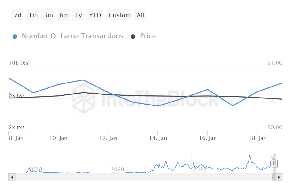 Whales Go Wild: Cardano Transactions Surge 11% – Price Hike Incoming?