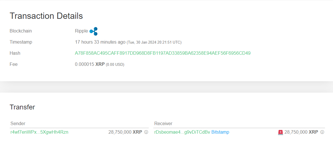 XRP Whale Transfer
