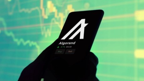 Algorand (ALGO) Stuns In Q4: Market Cap Soars, TVL Doubles, And User Base Skyrockets