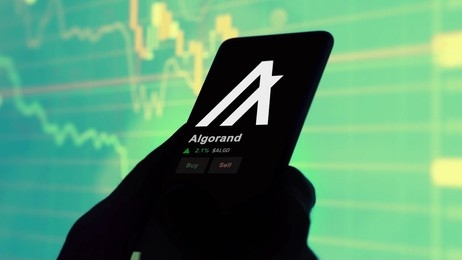 Algorand (ALGO) Stuns In Q4: Market Cap Soars, TVL Doubles, And User Base Skyrockets