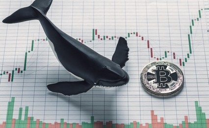Bitcoin Long Positions Surge On Bitfinex: Whales Add 4,230 BTC, Signaling Potential Price Reversal