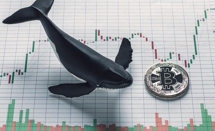 Whales Add 4,230 BTC, Signaling Potential Price Reversal Whales Add 4,230 BTC, Signaling Potential Price Reversal