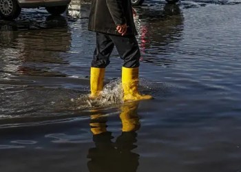 $1B In Altcoins Set To Flood The Market This February: