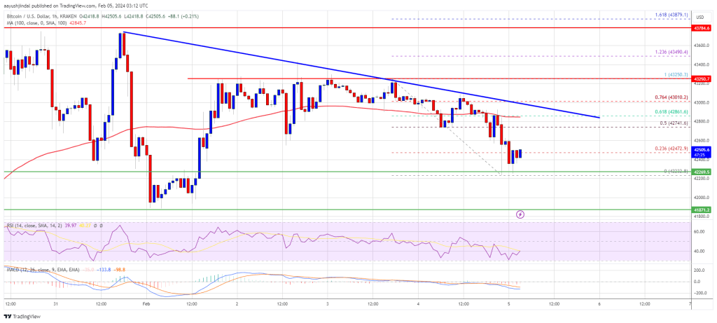 Bitcoin գինը