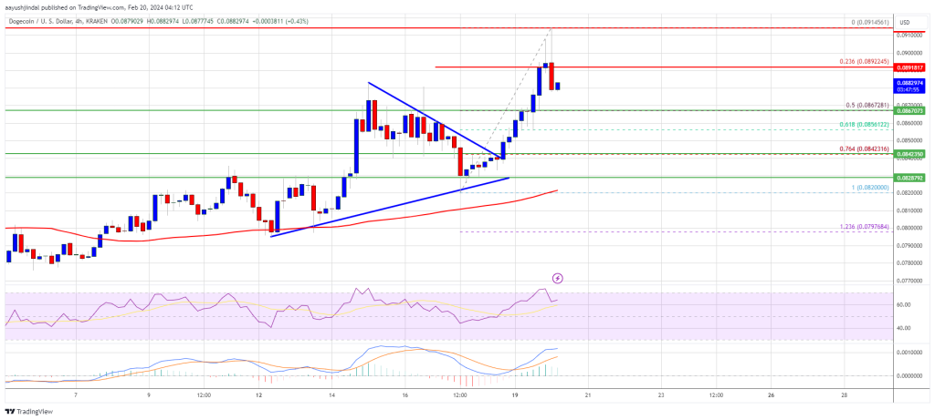 توقع سعر Dogecoin