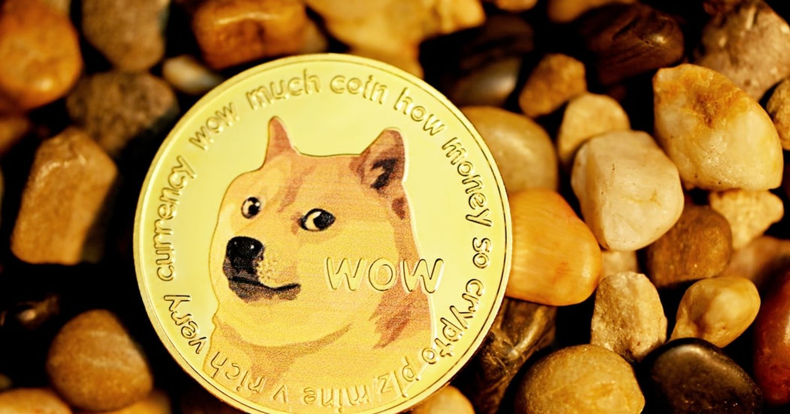 Dogecoin Rallies 50% To Beat Out Avalanche, BONK Overtakes PEPE
