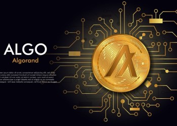 DeFi Investors Move To Trade Undervalued NuggetRush Amid Depressing Volume On Algorand (ALGO) And Fantom (FTM)