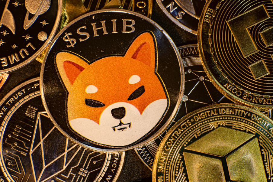 Shibu Inu SHIB Coin with the Face of Shibu Inu Dog