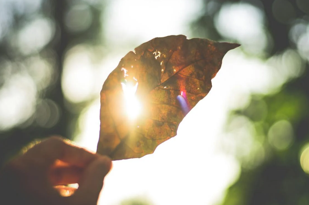 Open Curiosity Hits .75 Billion, Value Up 8% At the moment Open Curiosity Hits .75 Billion, Value Up 8% At the moment