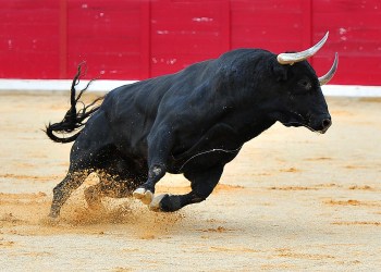 Tron Price Prediction TRX