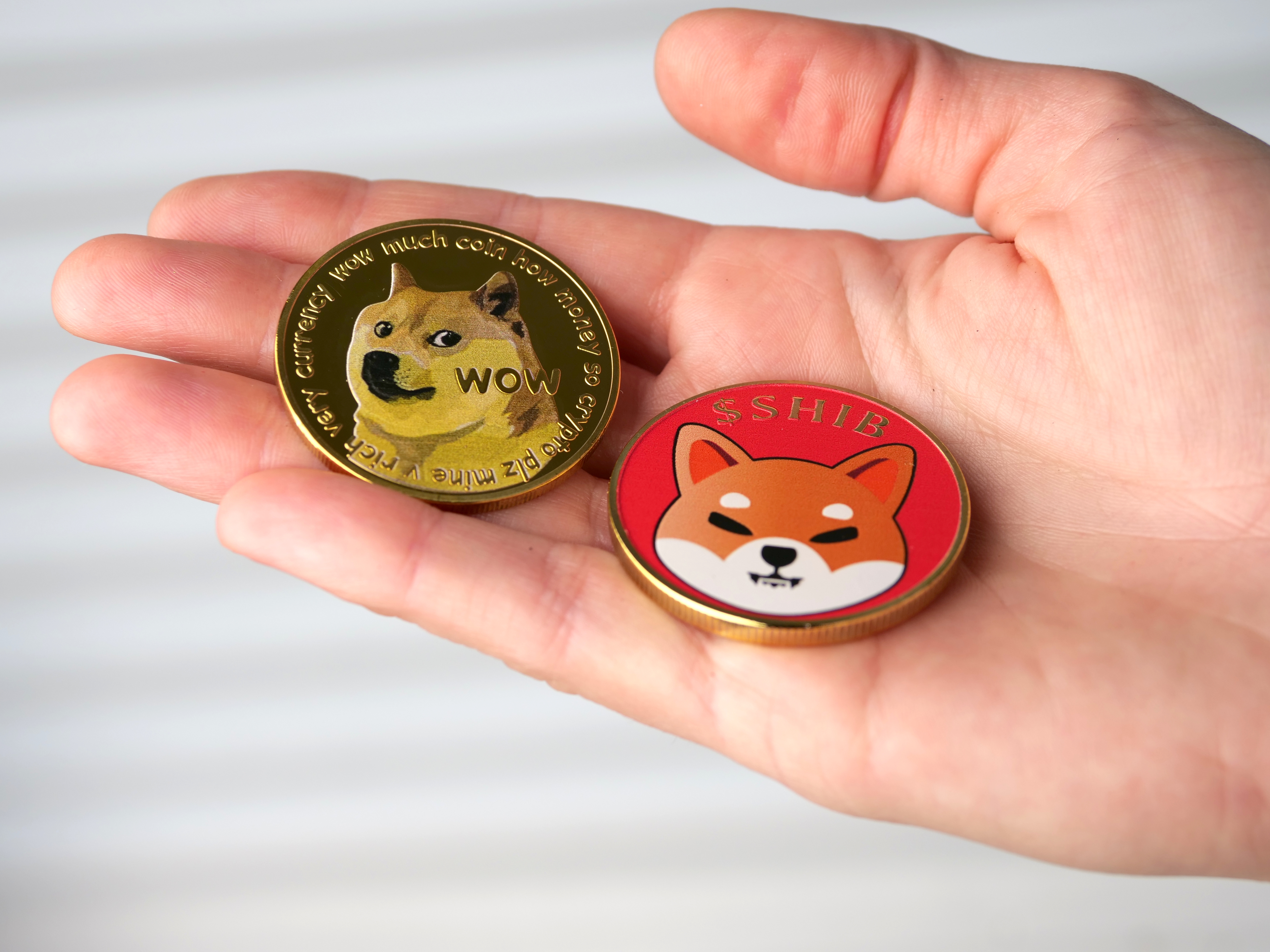 next crypto memecoin like Shiba Inu Dogecoin