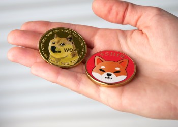 next crypto memecoin like Shiba Inu Dogecoin