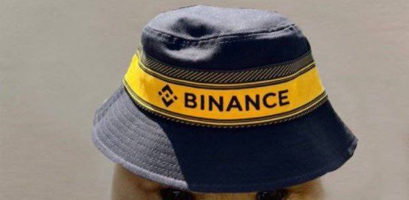 Featured image for “Dogwifhat (WIF) Achieves 25% Price Surge to Reach New All-Time High Following Binance Listing”