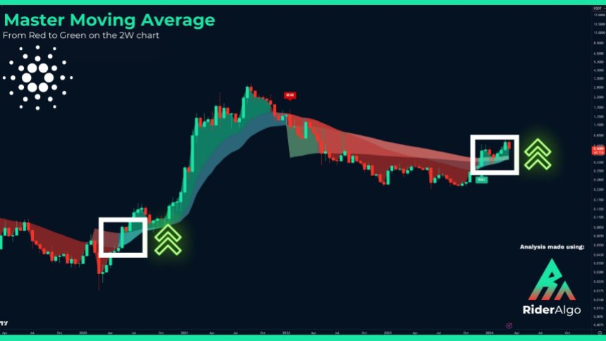 Cardano 