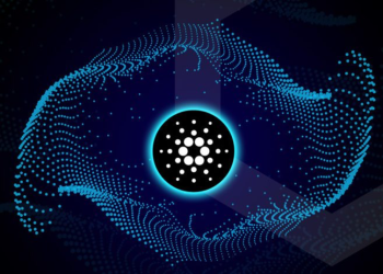 Cardano (ADA) & Polkadot (DOT) Holders Eye Fezoo (FEZ) After Predictions Emerge of a 25X Increase in Value by 2024