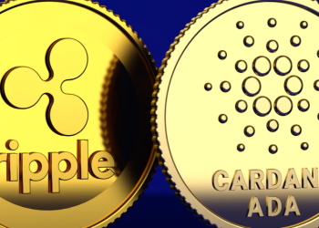 Cardano (ADA) & Ripple (XRP) Holders Unite in Pushd (PUSHD) Presale for Potential Big Gains