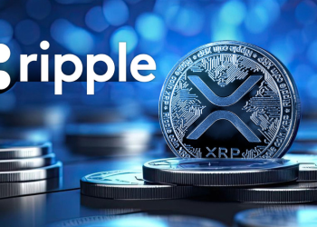 Koala Coin (KLC) Cruises Past Ripple (XRP) and Stellar (XLM) in Community Engagement