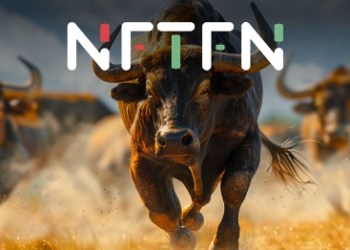 Bull Run Riches to Next-Gen Riches: The Intriguing Shift of Whales Towards This Coin for Exponential Returns in the Crypto Sphere