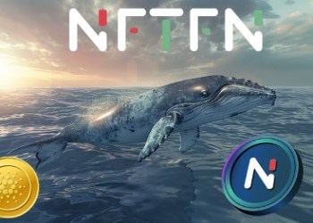 ADA Whales Share Insider Insights: NFTFN’s Path Cleared for a $5 Milestone Achievement Before 2024 Ends