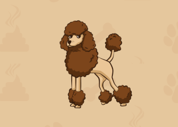 Poodl Inu (POODL) Is A Meme Coin That Could Stand The Test Of Time – Learn How To Get Involved In the POODL Presale