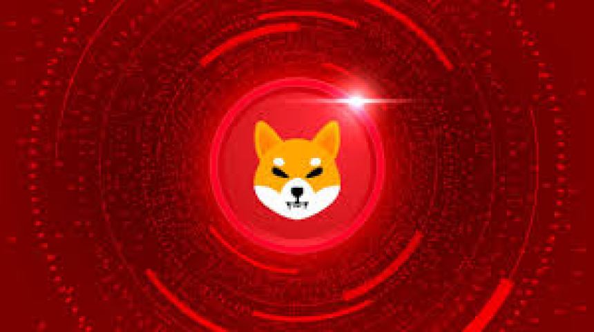 Shiba Inu