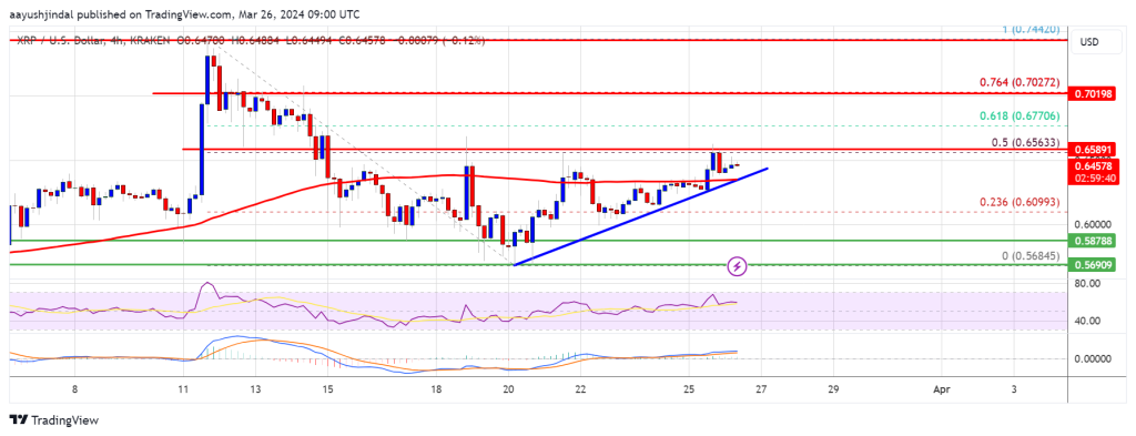 XRP Price Prediction