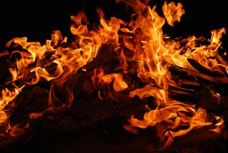 Shiba Inu Price Soars 10% In Reaction To Explosive 2,367% SHIB Burn Surge