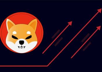 3 Reason’s $BUDZ Cryptocurrency Rivals Shiba Inu, Investors Split SHIB Holdings