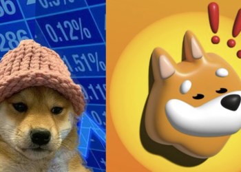 Solana memecoins WIF BONK