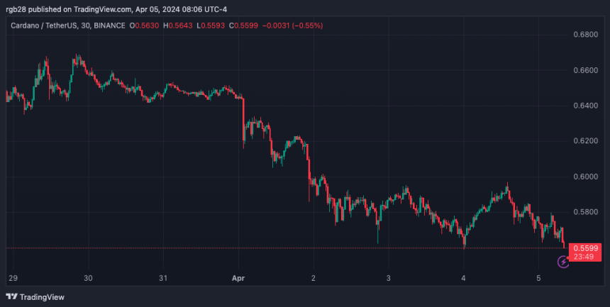 卡达诺、ADA、ADAUSDT、查尔斯·霍斯金森