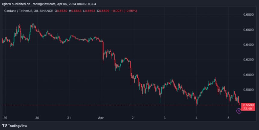 Is Not Holding ADA A ‘Red Flag’? Cardano’s Founder Thinks So, Community Pokes At Solana