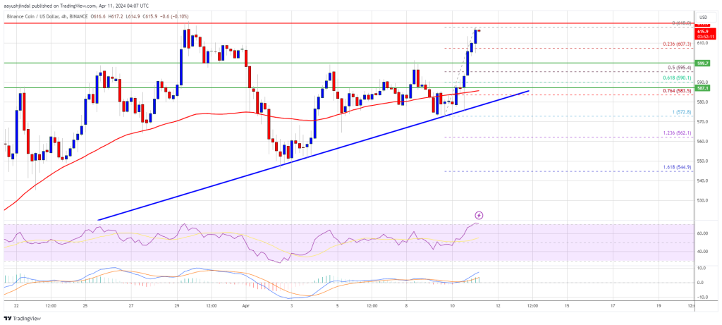 BNB Price