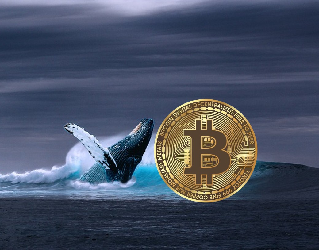 Las ballenas Bitcoin mantienen un comportamiento de acumulación positivo antes de la reducción a la mitad en 2024: Santiment