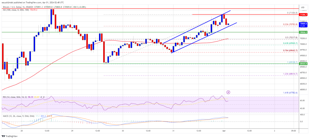 Bitcoin Price